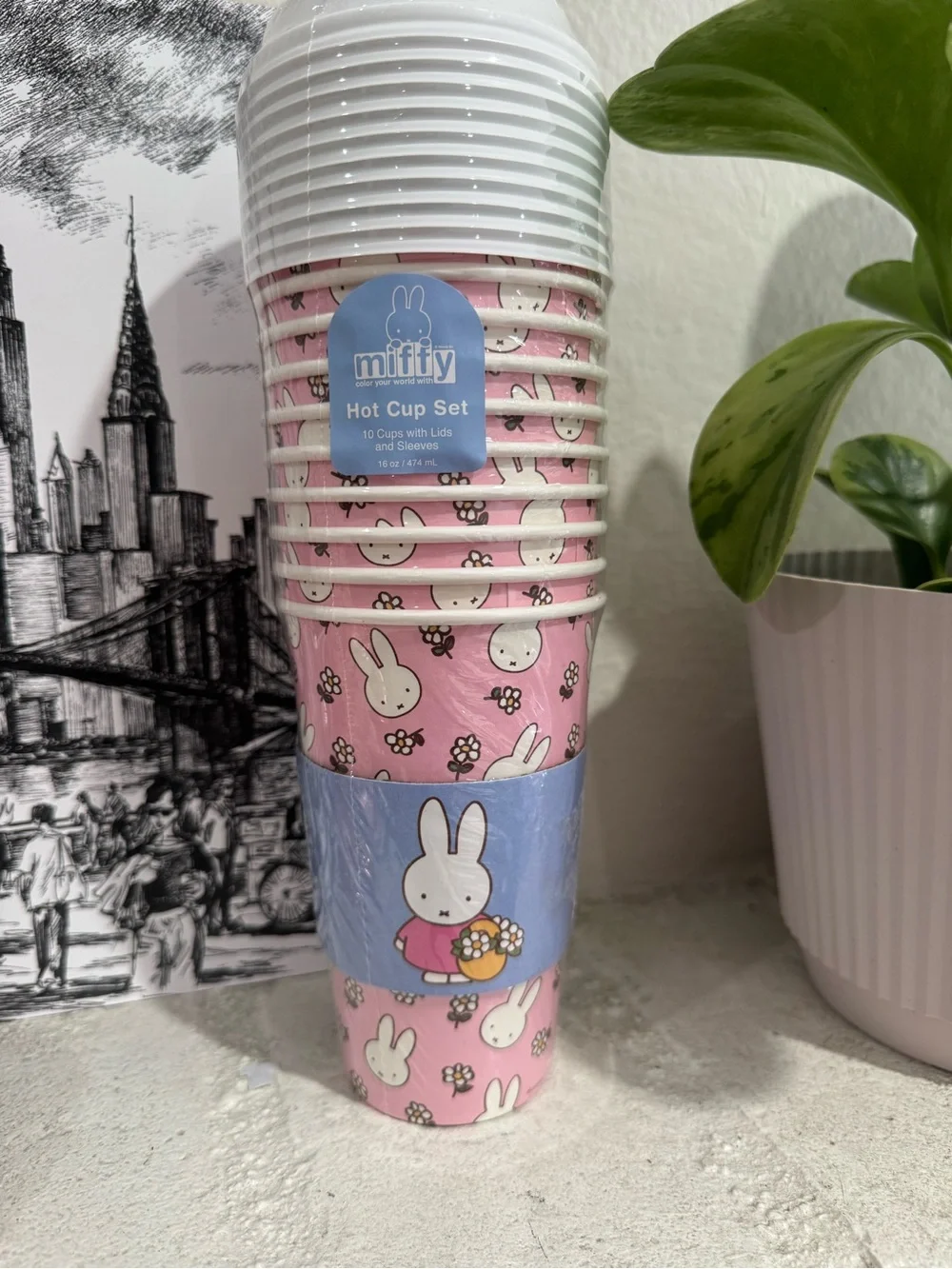 miffy Pink & Blue Disposable Hot Cup Set with Bunny Design